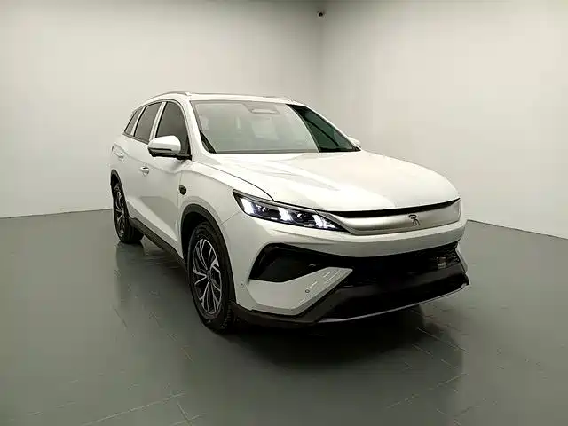 BYD Pro New Energy 2025