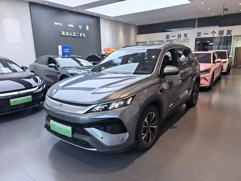 BYD Pro New Energy 2025