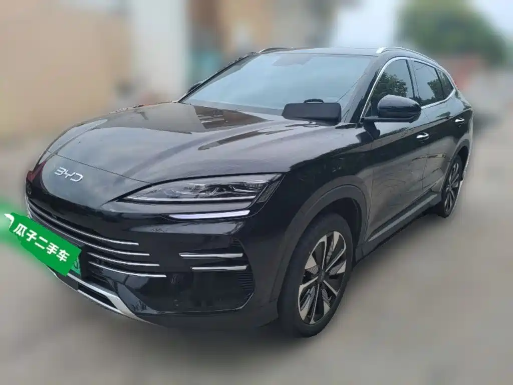 BYD PLUS New Energy 2025