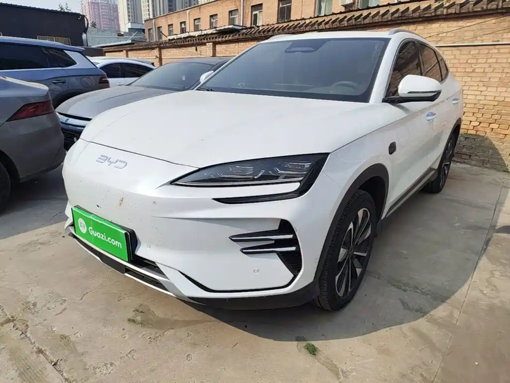 BYD PLUS New Energy 2025
