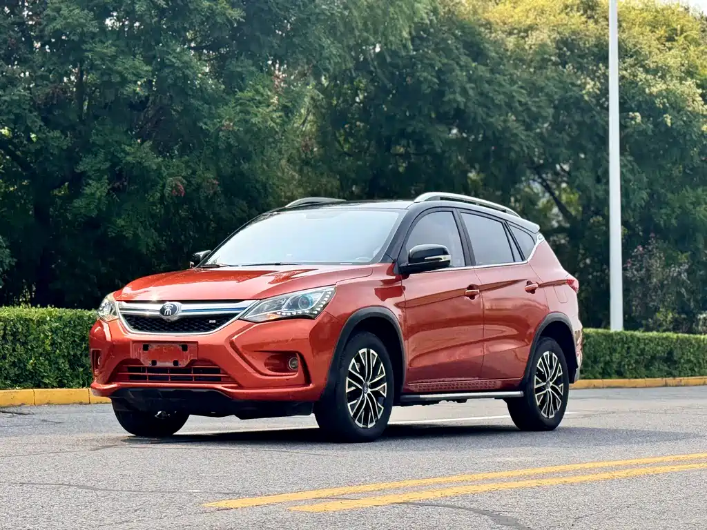 BYD New Energy 2017