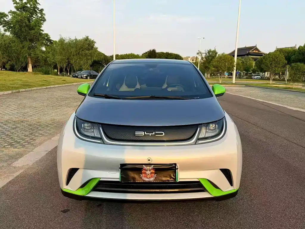 BYD Dolphin 2022