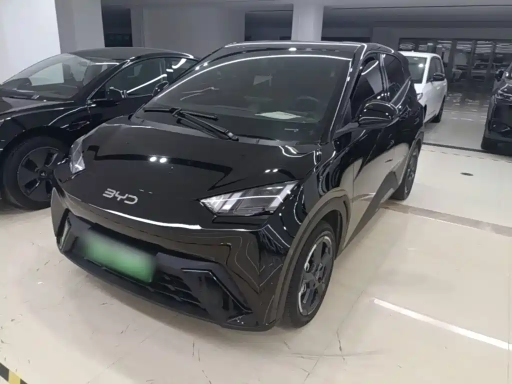 BYD Seagull 2024