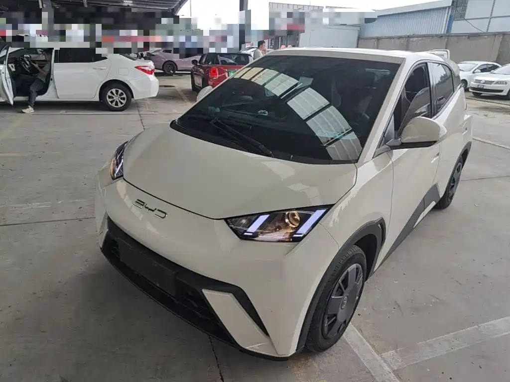 BYD Seagull 2024