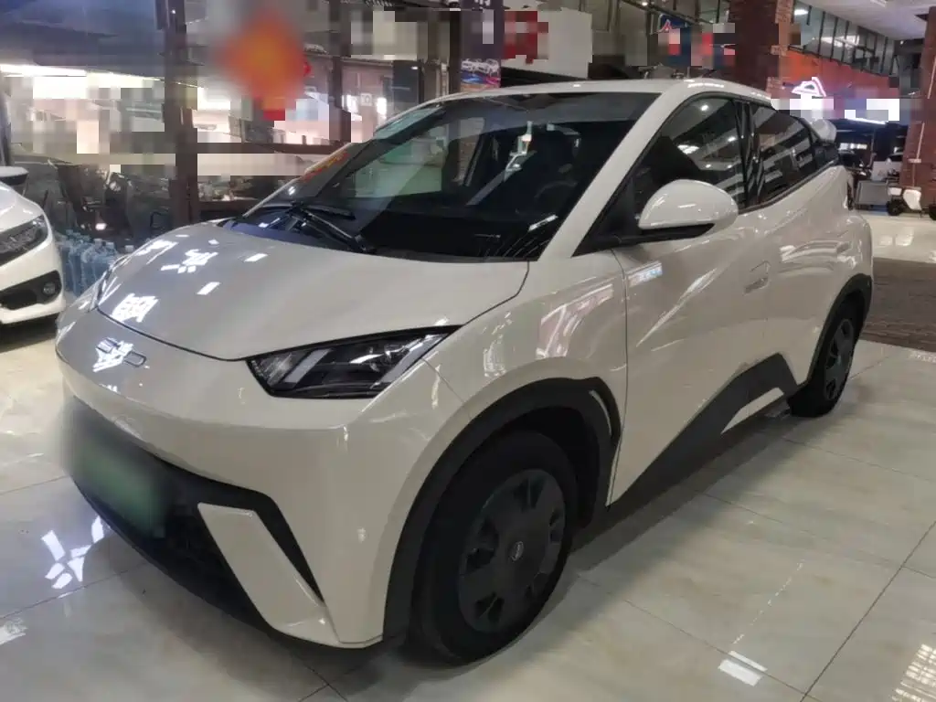 BYD Seagull 2024