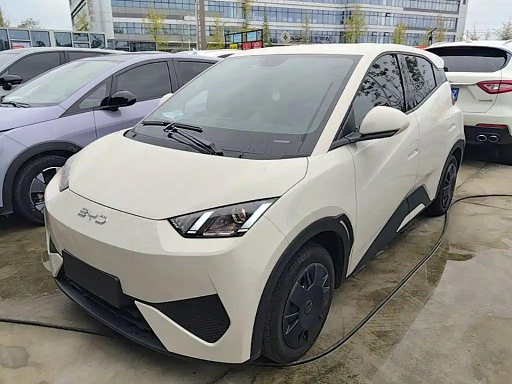 BYD Seagull 2025