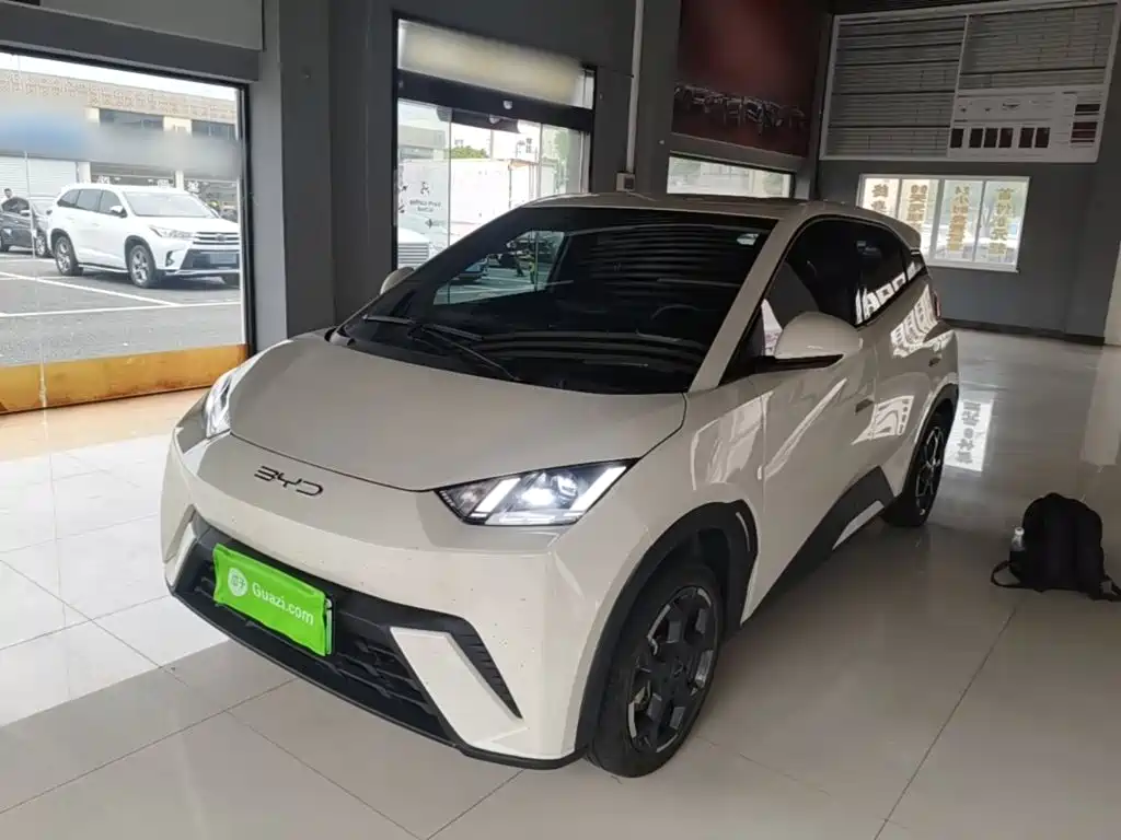 BYD Seagull 2024