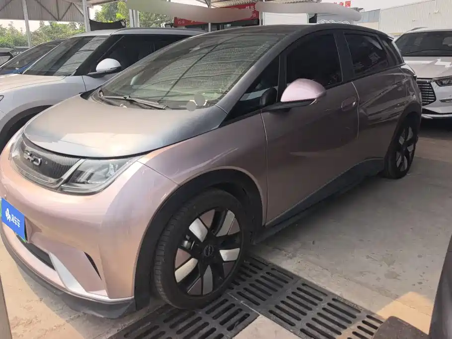 BYD Dolphin 2022
