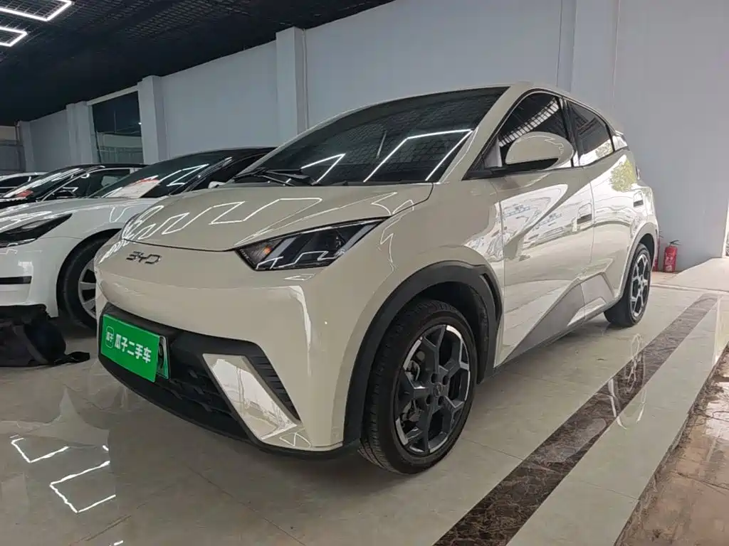 BYD Seagull 2025