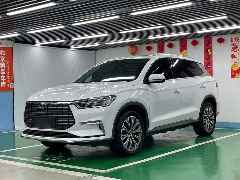 BYD Pro New Energy 2020