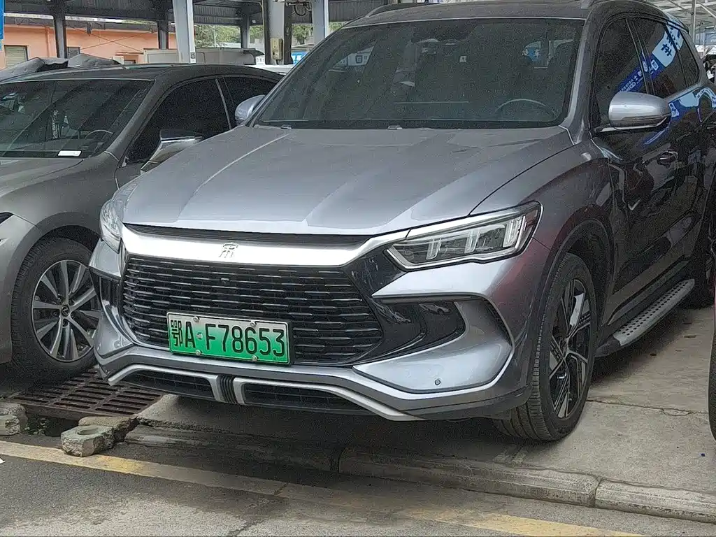 BYD Pro New Energy 2024