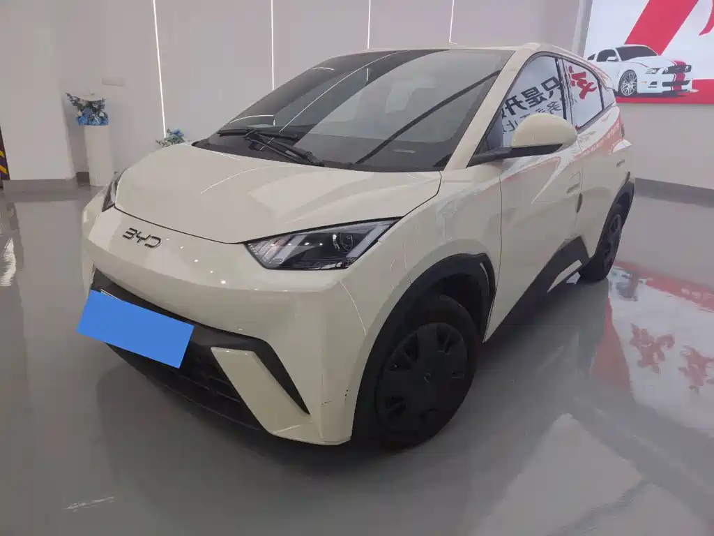 BYD Seagull 2025