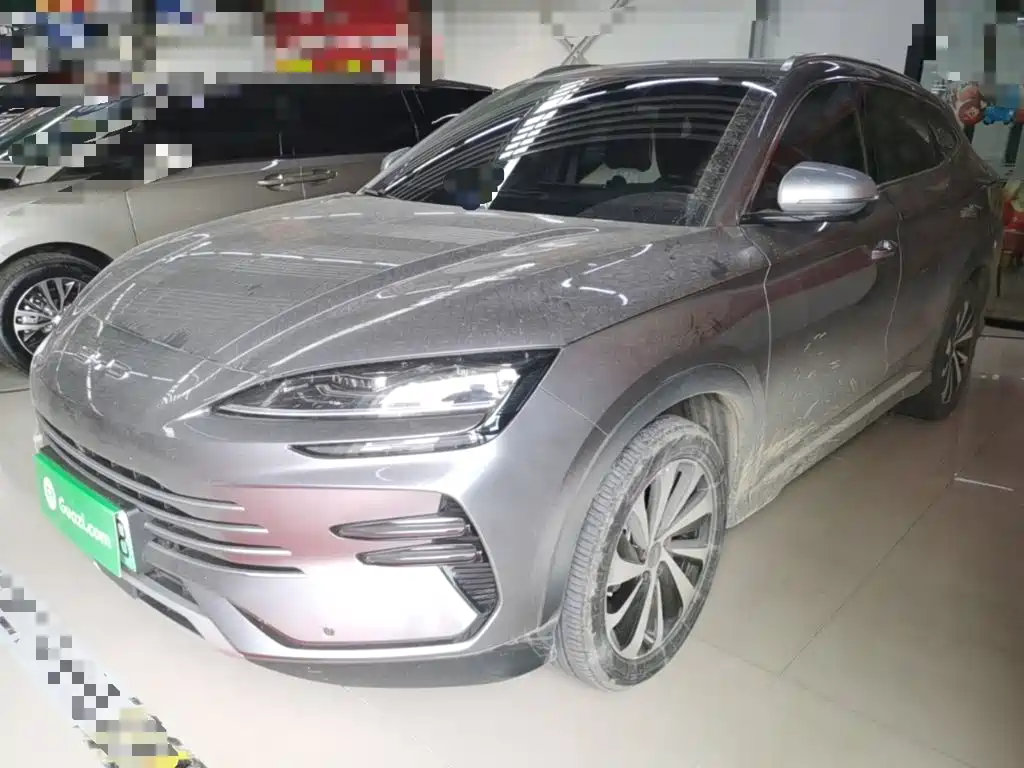 BYD PLUS New Energy 2024