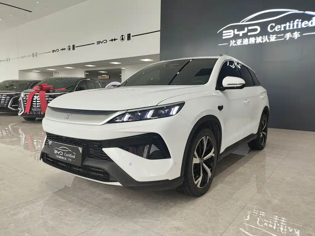 BYD Pro New Energy 2025