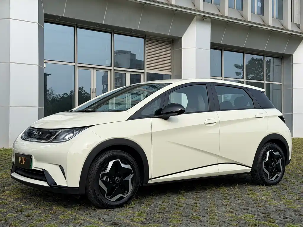 BYD Dolphin 2024