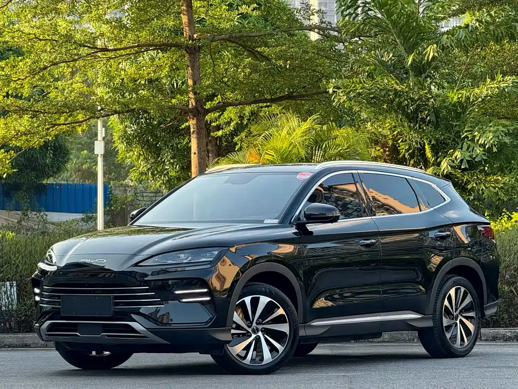 BYD PLUS New Energy 2024