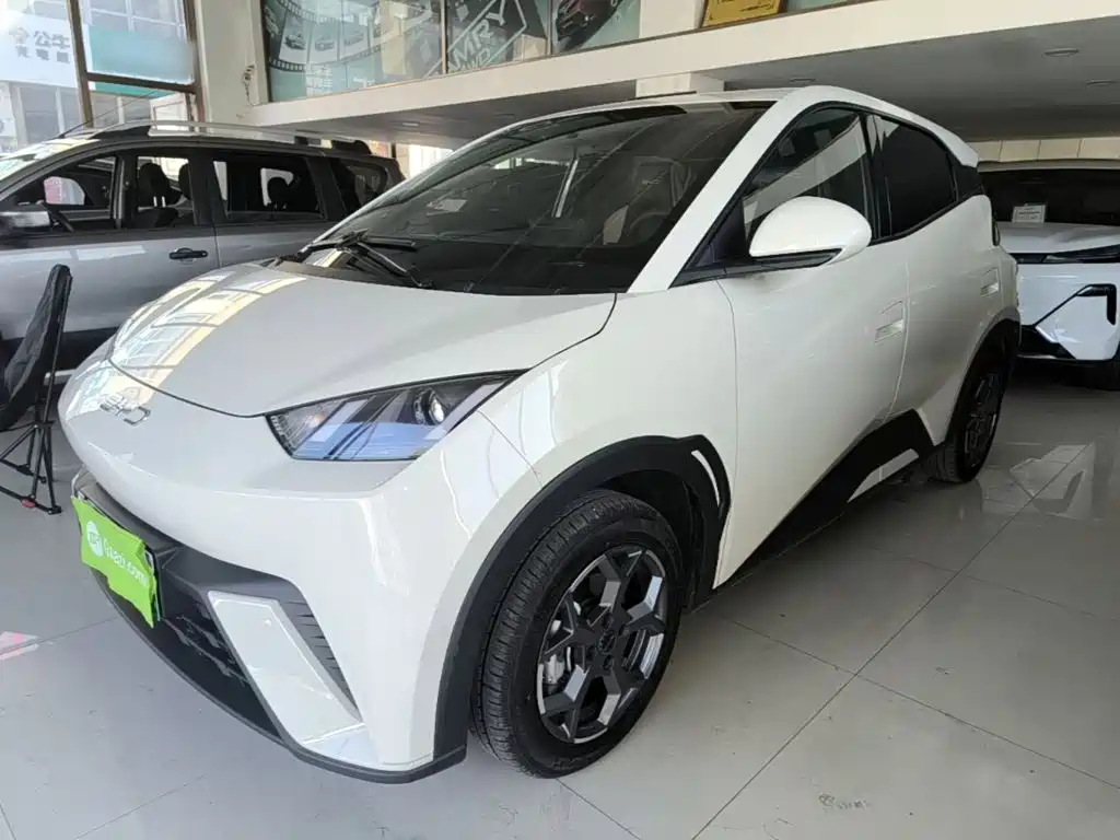 BYD Seagull 2024