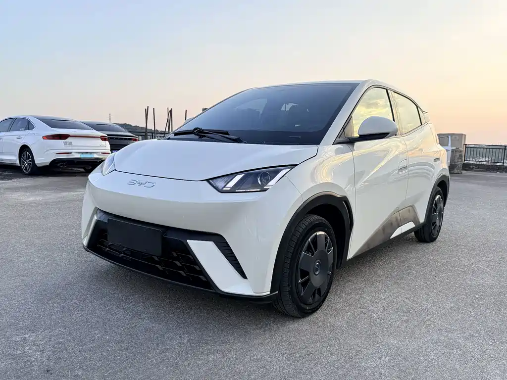 BYD Seagull 2025