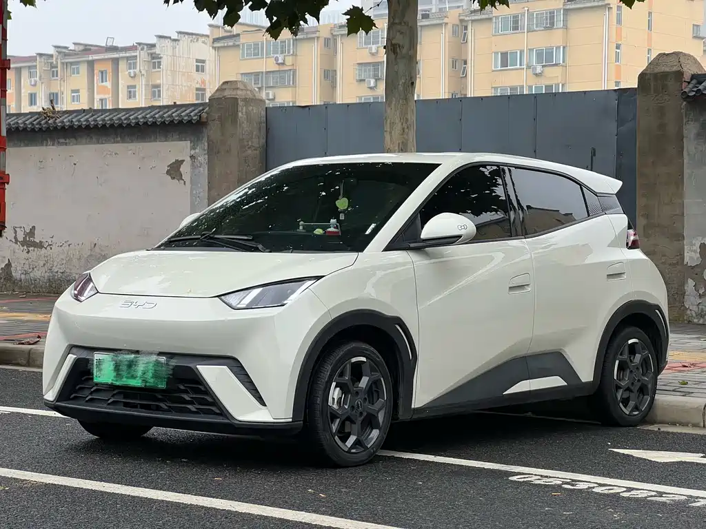 BYD Seagull 2024