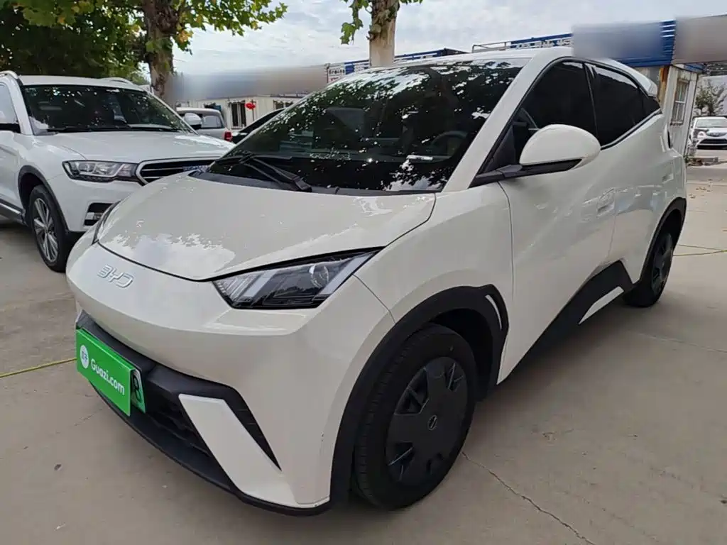 BYD Seagull 2024