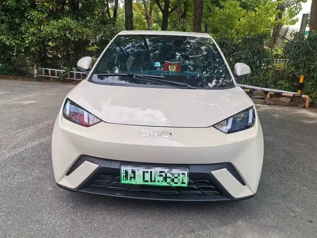 BYD Seagull 2024