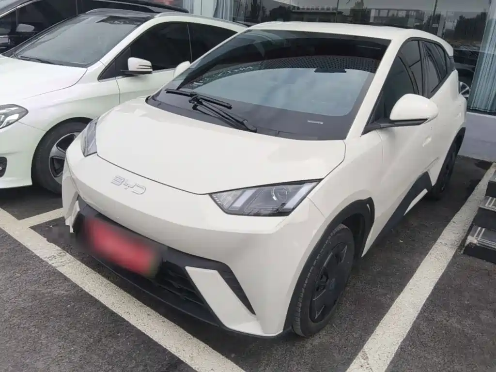 BYD Seagull 2024