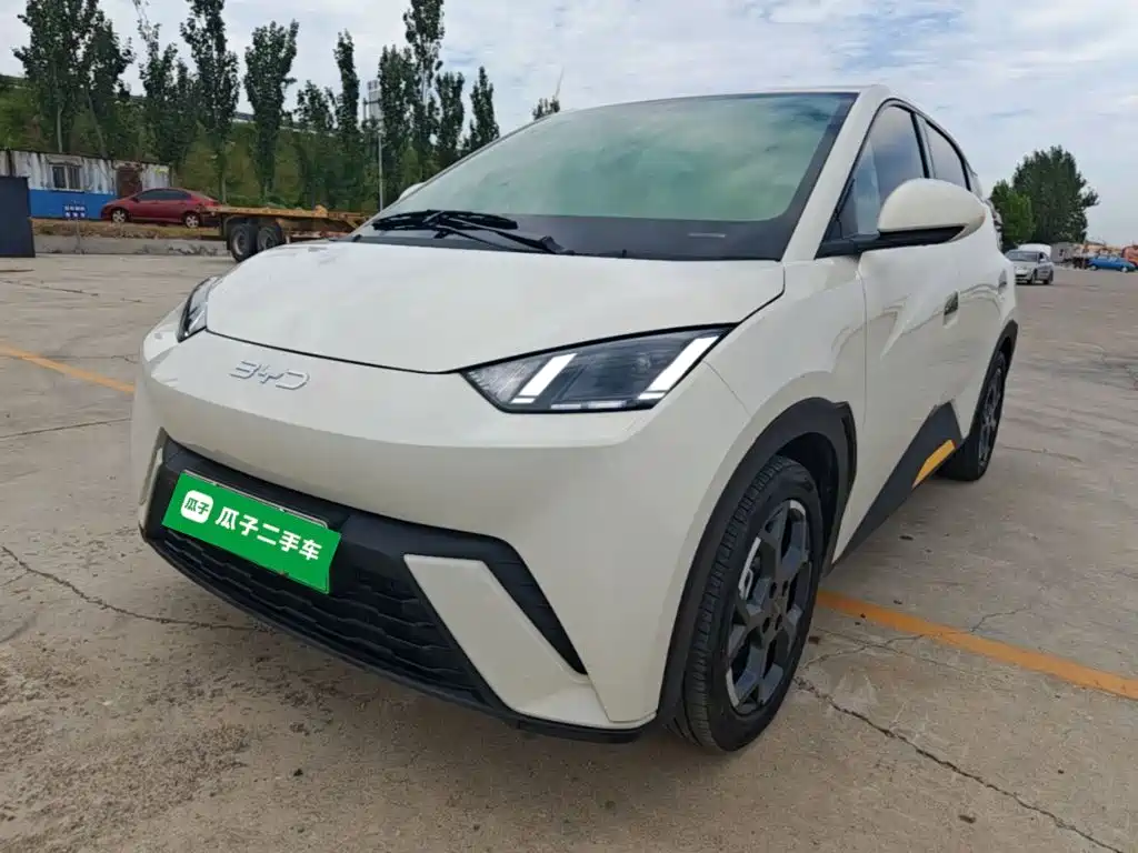BYD Seagull 2024