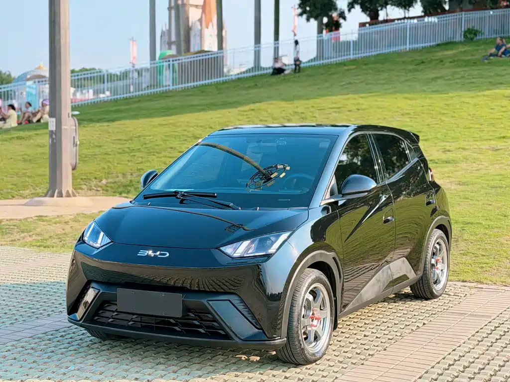 BYD Seagull 2024