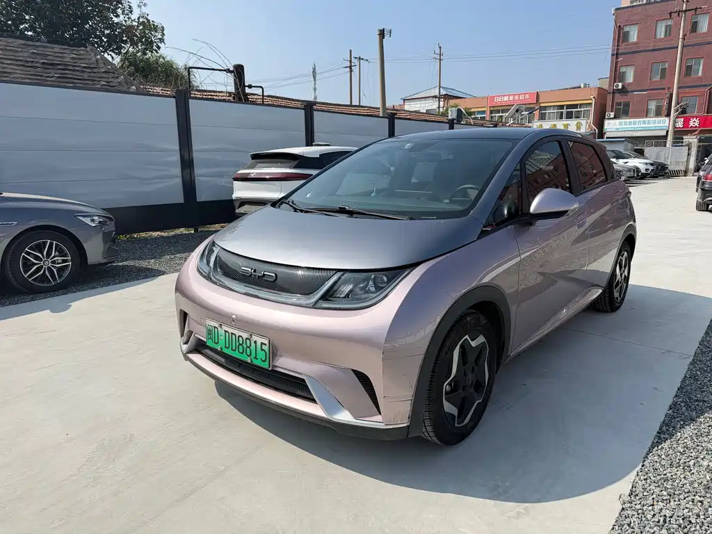 BYD Dolphin 2022