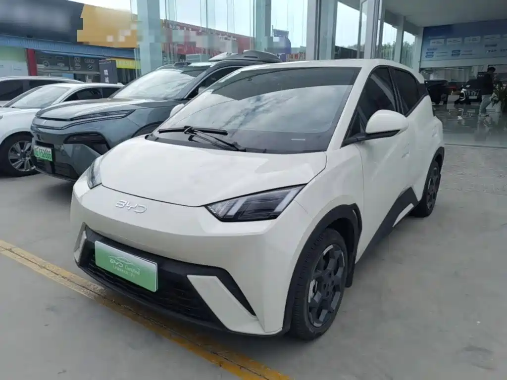 BYD Seagull 2024