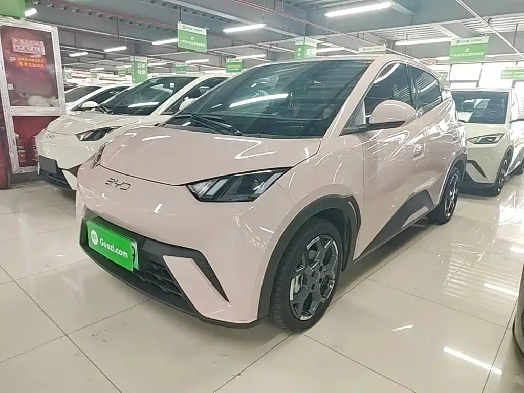 BYD Seagull 2024