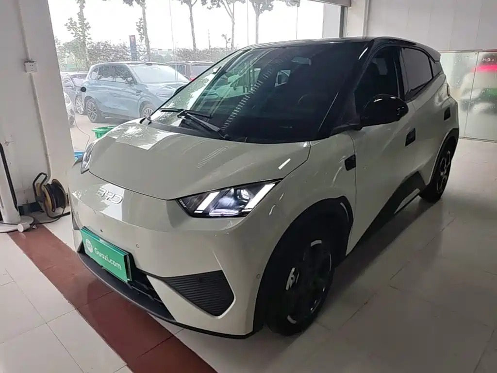 BYD Seagull 2026