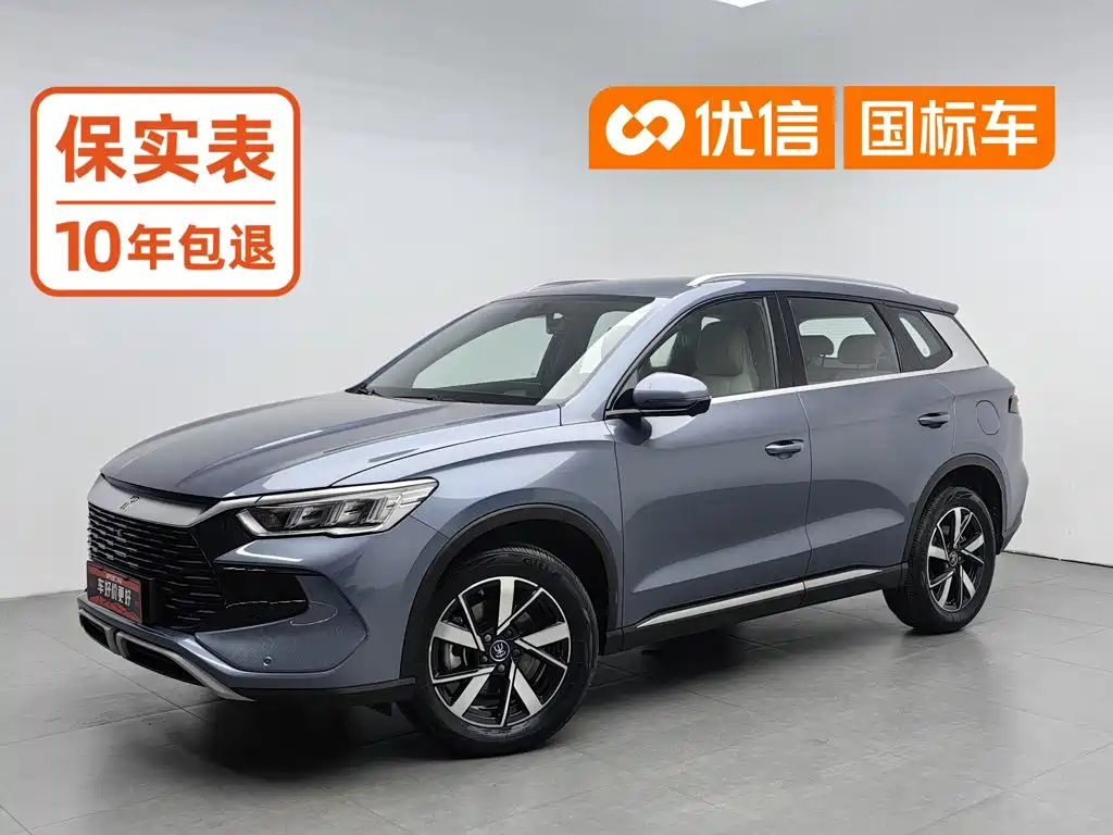BYD Pro New Energy 2024