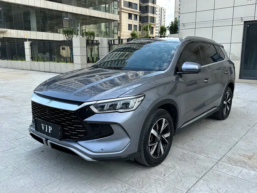 BYD Pro New Energy 2024