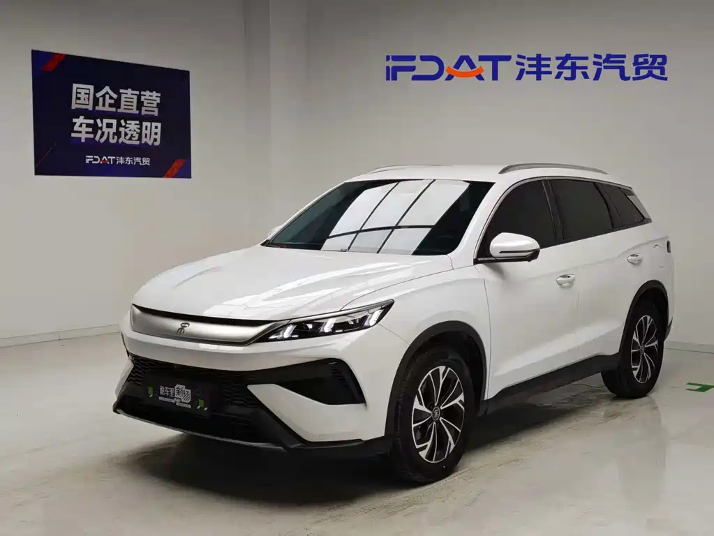 BYD Pro New Energy 2025