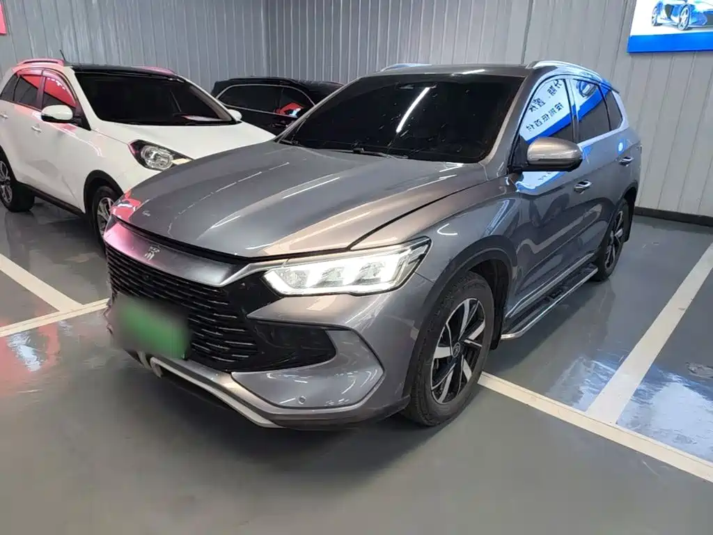BYD Pro New Energy 2024