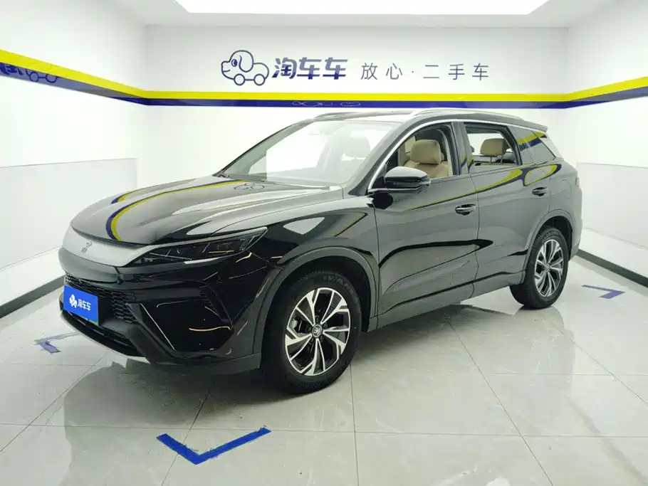BYD Pro New Energy 2025