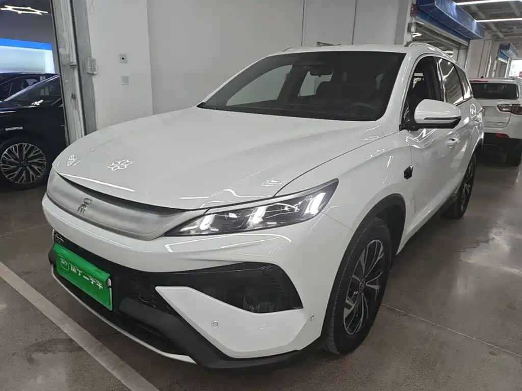 BYD Pro New Energy 2025