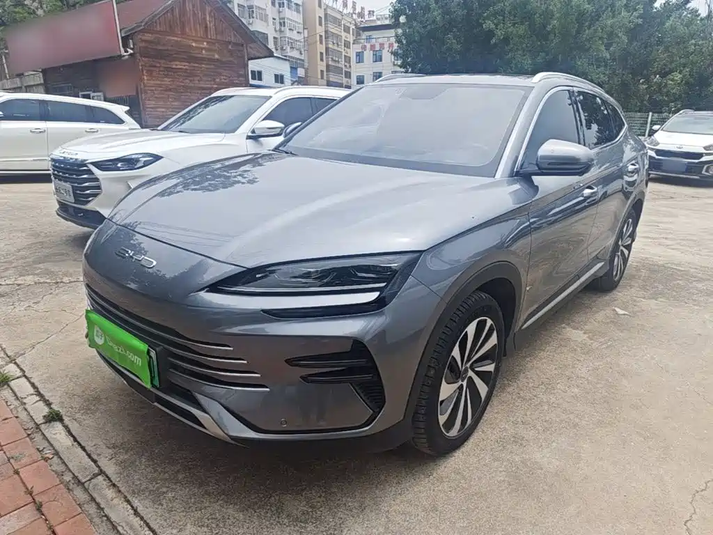 BYD PLUS New Energy 2024