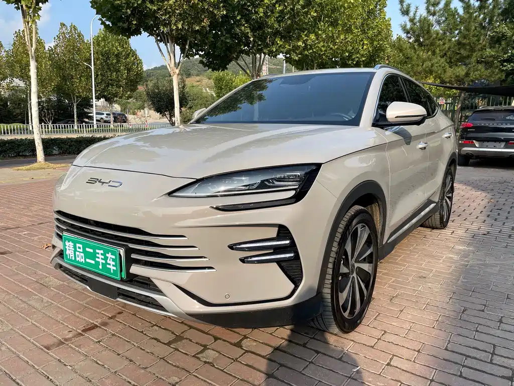 BYD PLUS New Energy 2024