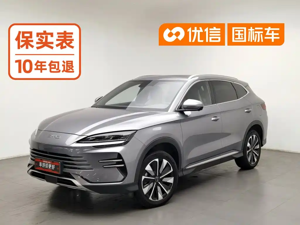 BYD PLUS New Energy 2024