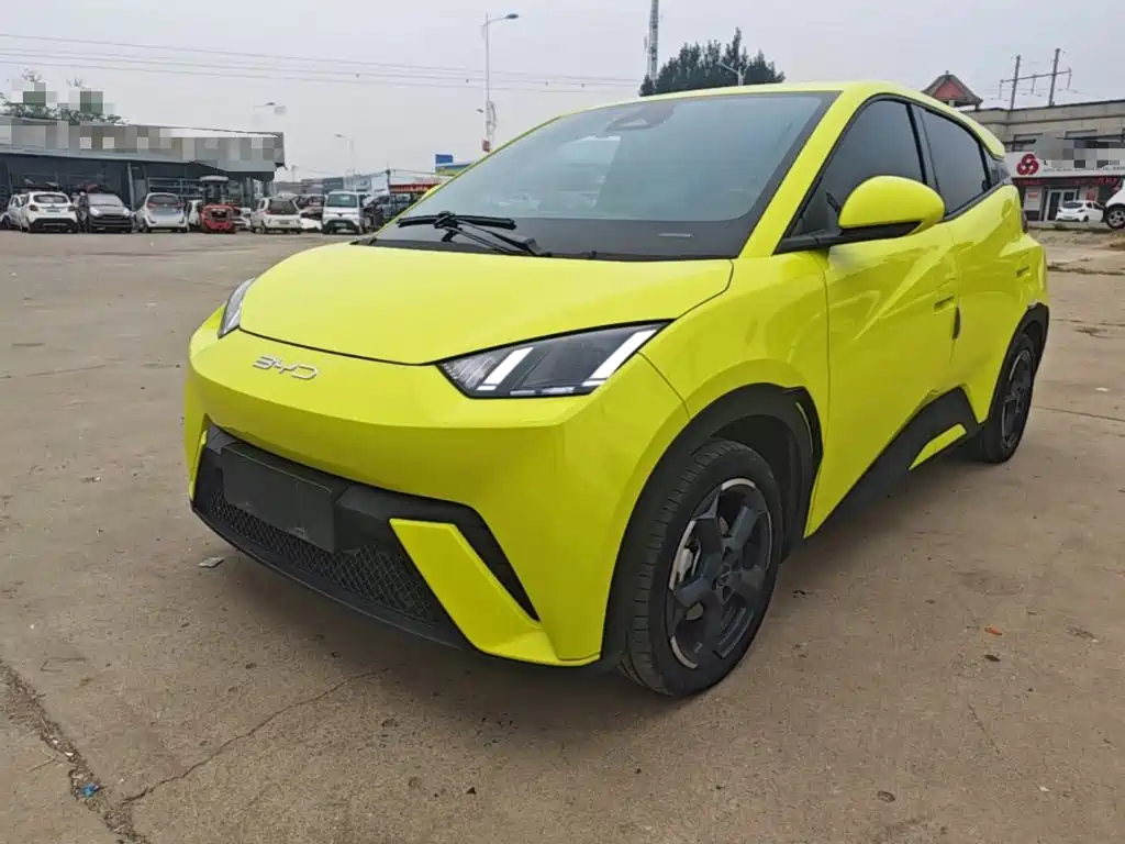 BYD Seagull 2024