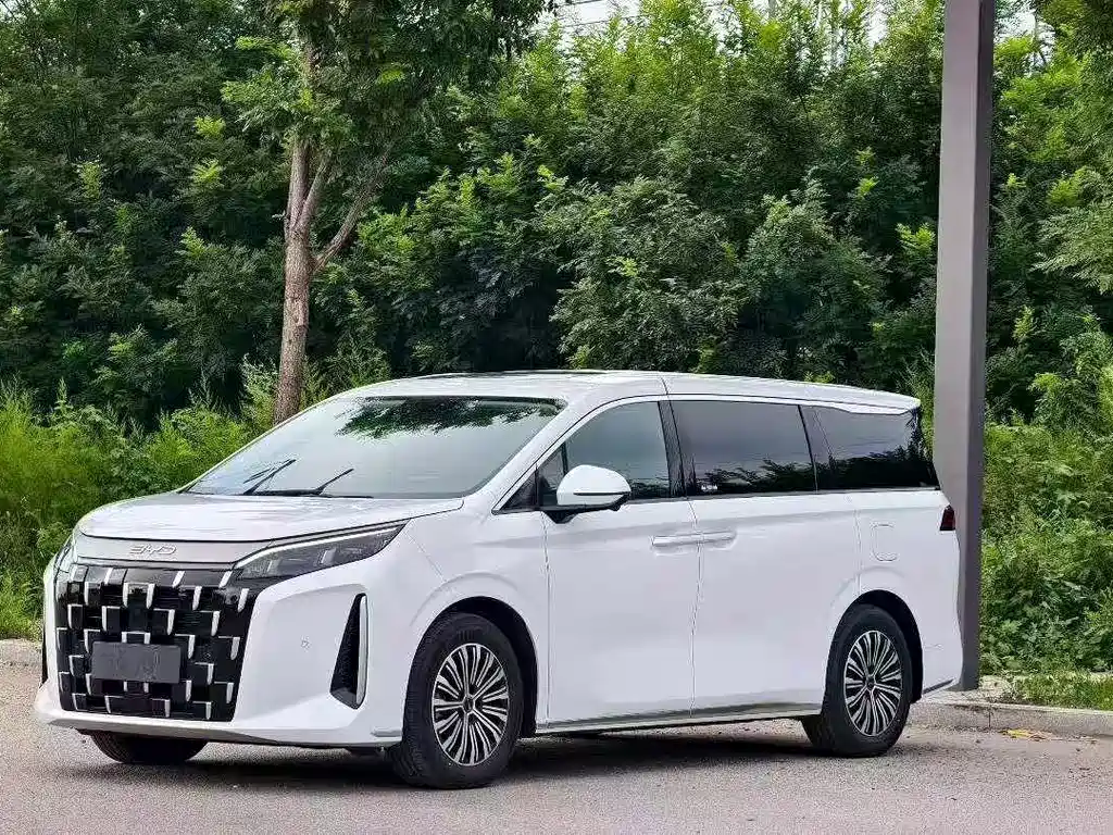 BYD M9 2025
