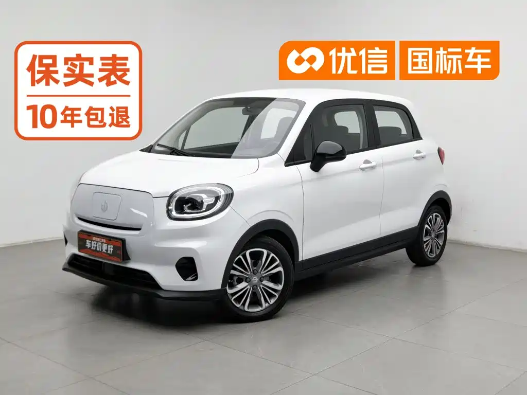 Leapmotor Leapmotor T03 2021