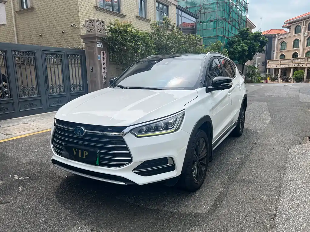 BYD New Energy 2019