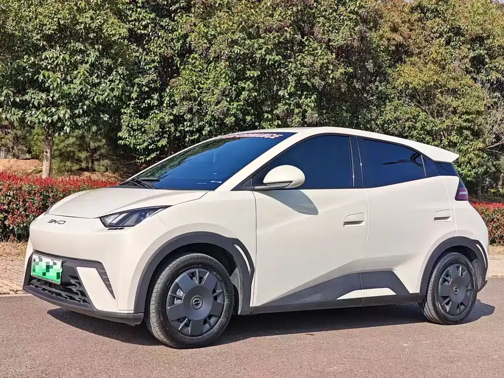 BYD Seagull 2025