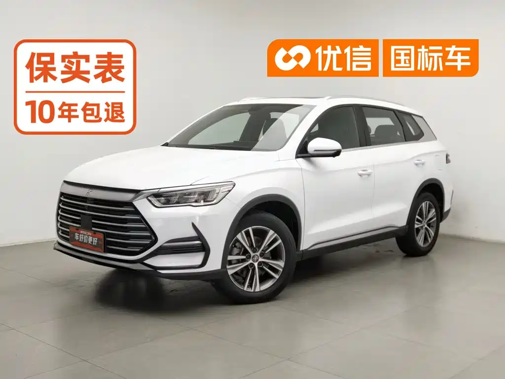 BYD Pro 2021
