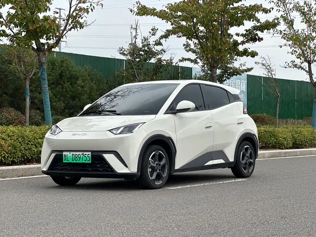 BYD Seagull 2023