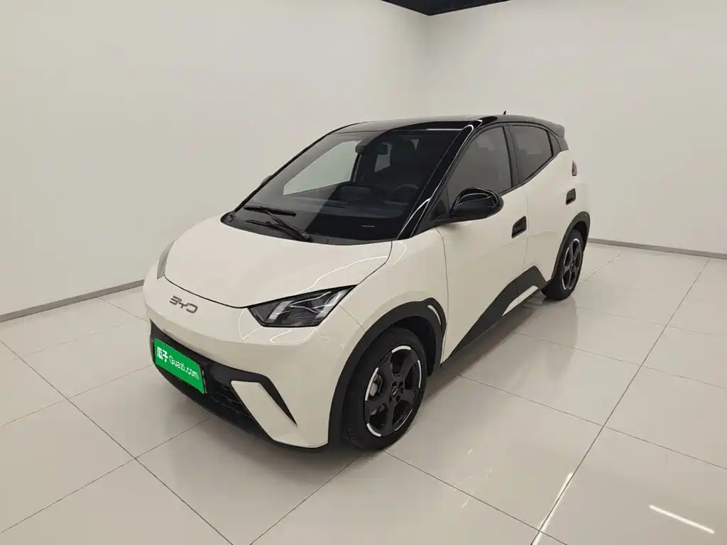 BYD Seagull 2024