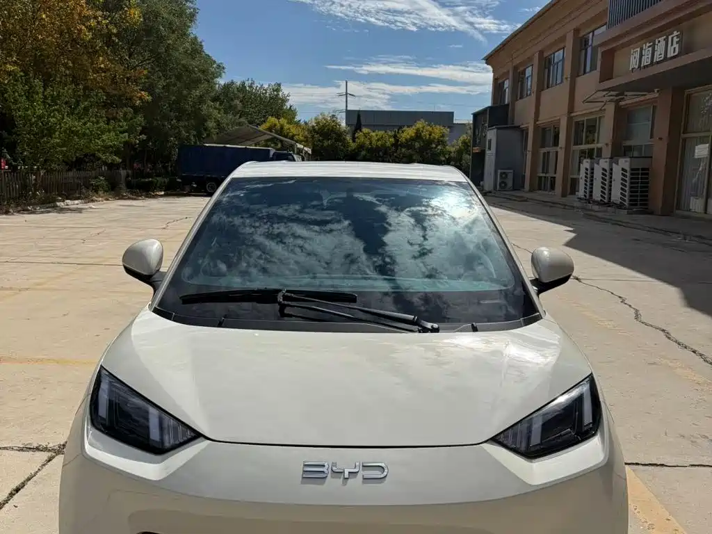 BYD Seagull 2024